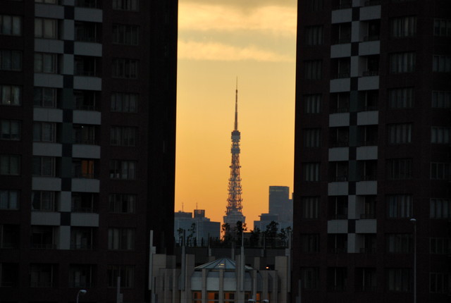 b0174068_036724.jpg