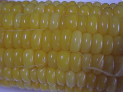 c0166668_13325892.jpg