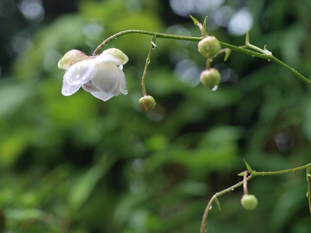d0025568_10504021.jpg