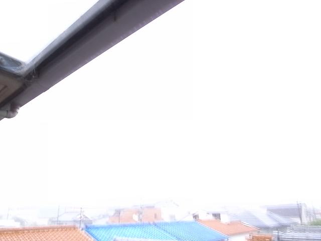 b0170369_0554627.jpg