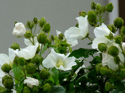 f0086169_024101.jpg