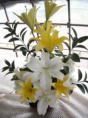 e0097770_20515647.jpg