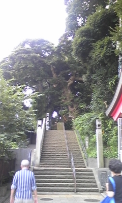 c0061774_17595234.jpg
