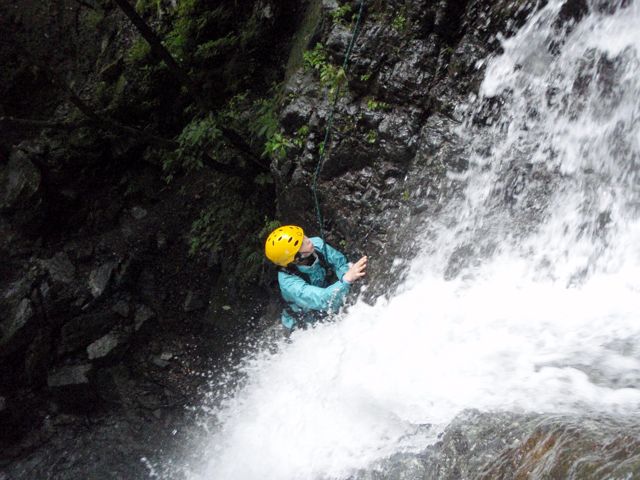 d0079579_521161.jpg