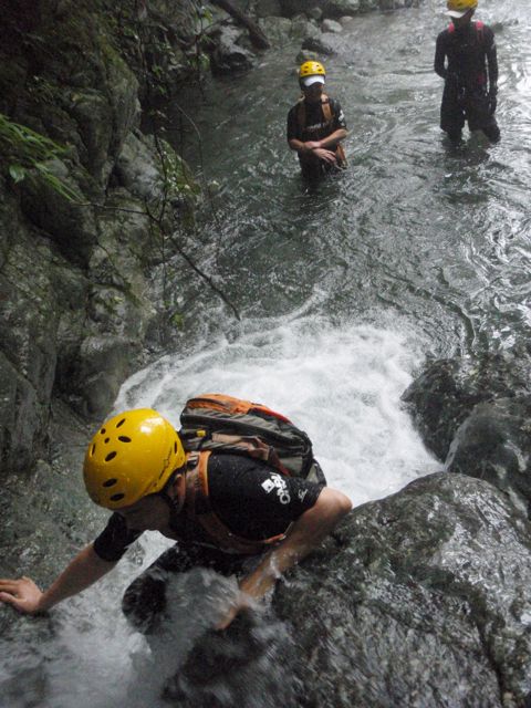 d0079579_5222.jpg