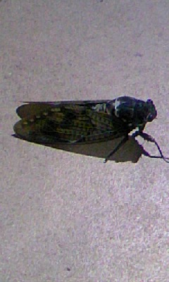 d0128880_0173493.jpg