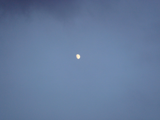 c0139388_23551414.jpg