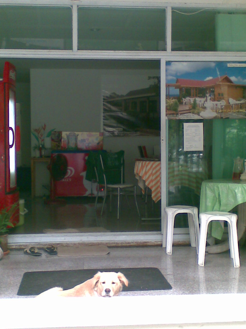 c0149788_12175978.jpg