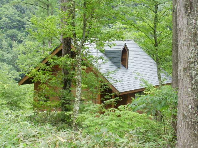 e0065794_8411825.jpg