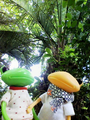 c0199295_0372721.jpg
