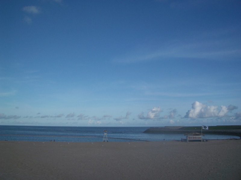 c0193396_1314160.jpg