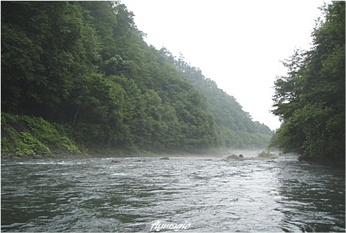 e0035597_19563117.jpg