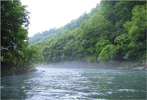 e0035597_1957452.jpg