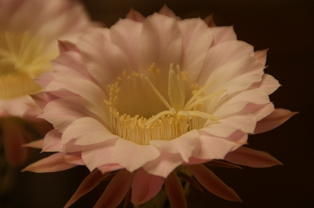 e0157999_22493011.jpg