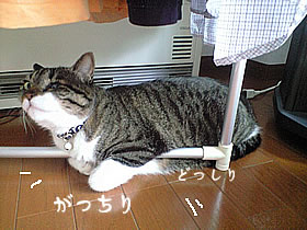 c0035001_1781592.jpg