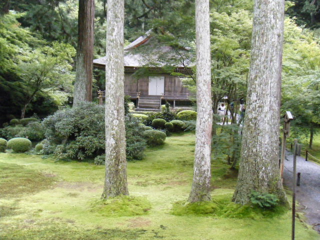 a0050302_1134095.jpg