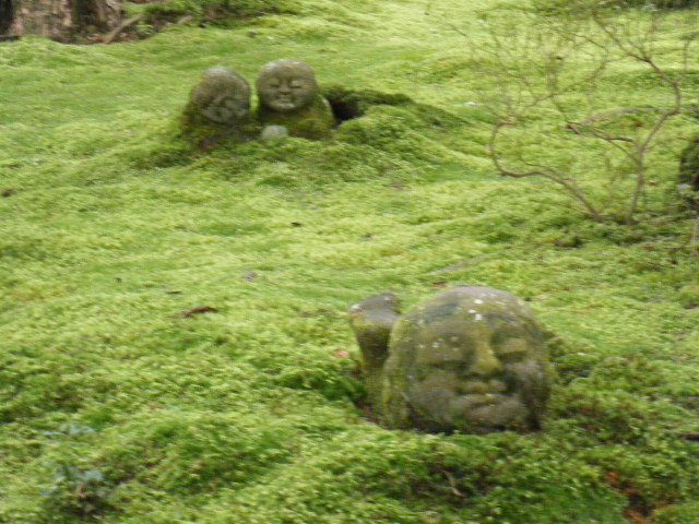 a0050302_11355078.jpg