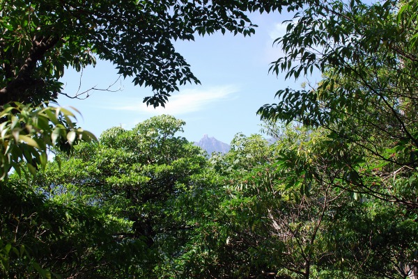 d0089706_21453086.jpg