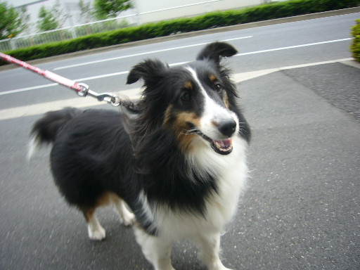 e0130008_2215678.jpg
