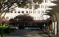 d0091909_173831100.jpg