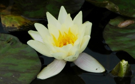 e0078510_23305165.jpg
