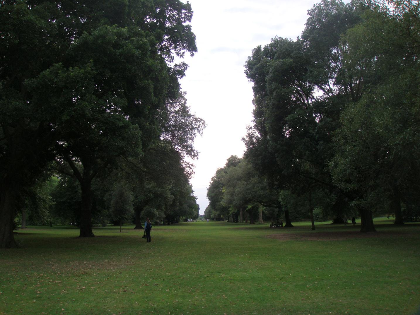 b0132411_22153170.jpg
