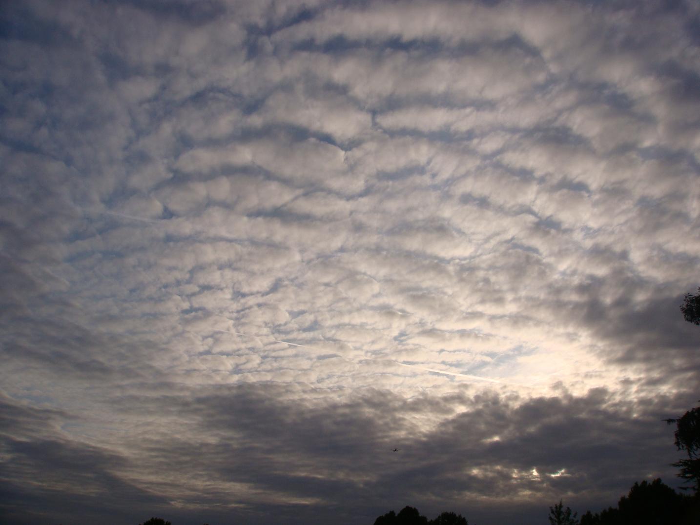 b0132411_22155851.jpg