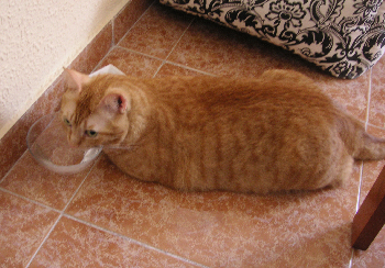e0115312_8252187.jpg