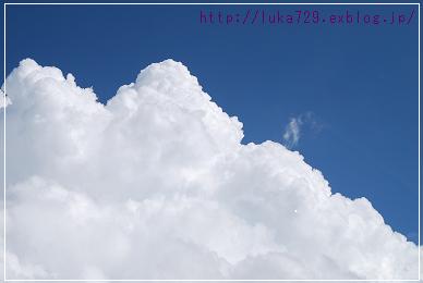 b0115215_152916100.jpg