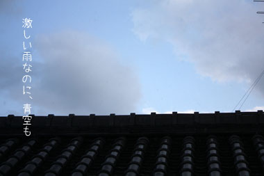 e0156015_1175836.jpg