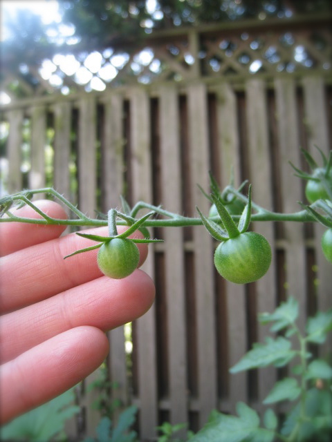 c0120817_7282125.jpg