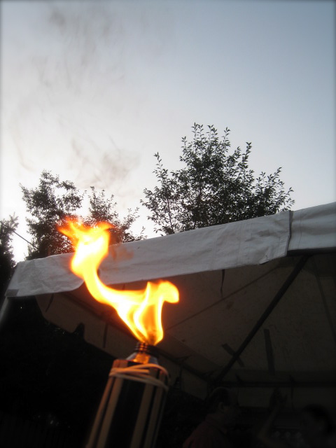 c0120817_7464261.jpg