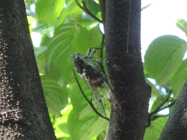 e0018920_2240513.jpg