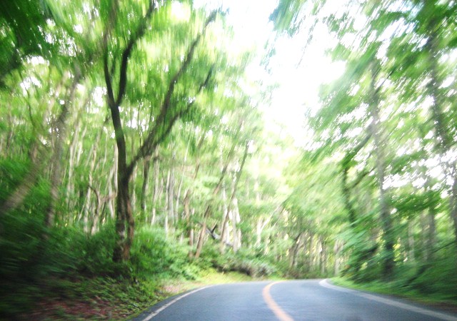 f0031722_15232120.jpg