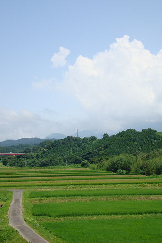 f0007926_16491695.jpg