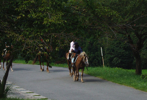 f0007926_170145.jpg