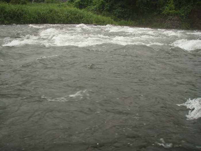 f0103126_2044040.jpg