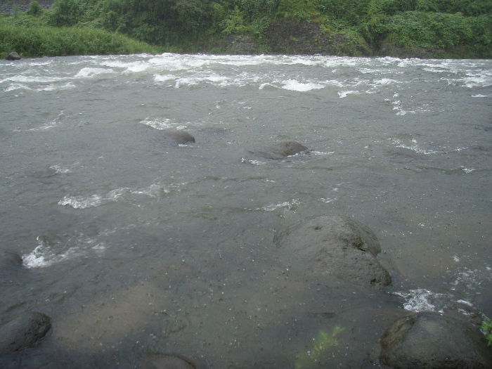 f0103126_2044239.jpg