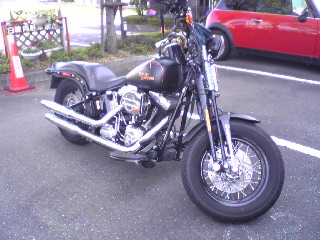 a0099129_2313759.jpg