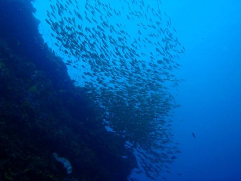 c0034029_2227966.jpg