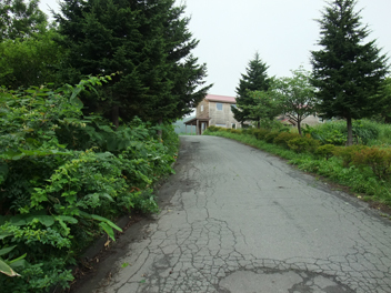 f0045630_104506.jpg