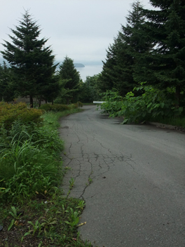 f0045630_959527.jpg