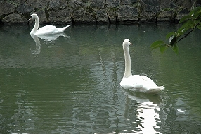 a0017634_2194980.jpg