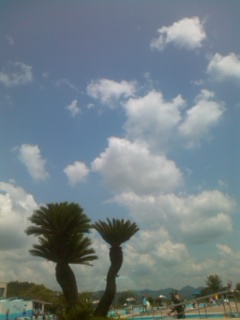 c0100534_17315393.jpg