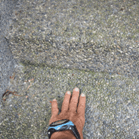d0033734_19464239.gif