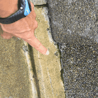 d0033734_1947528.gif