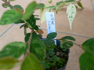 f0061334_2224030.jpg