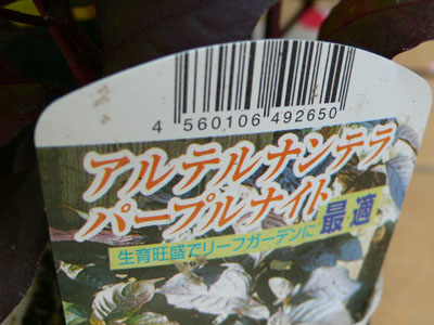 f0061334_22243085.jpg