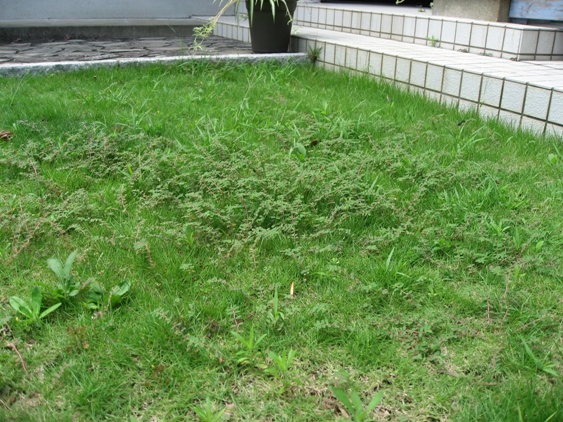 c0109235_14353631.jpg