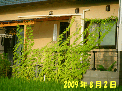 f0008935_11424878.gif